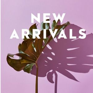 🌸 Shop Shop Shop 🌸